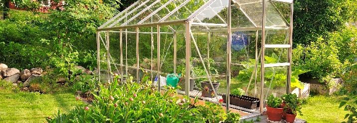 Sommergarten mit Gewächshaus voller Pflanzen.